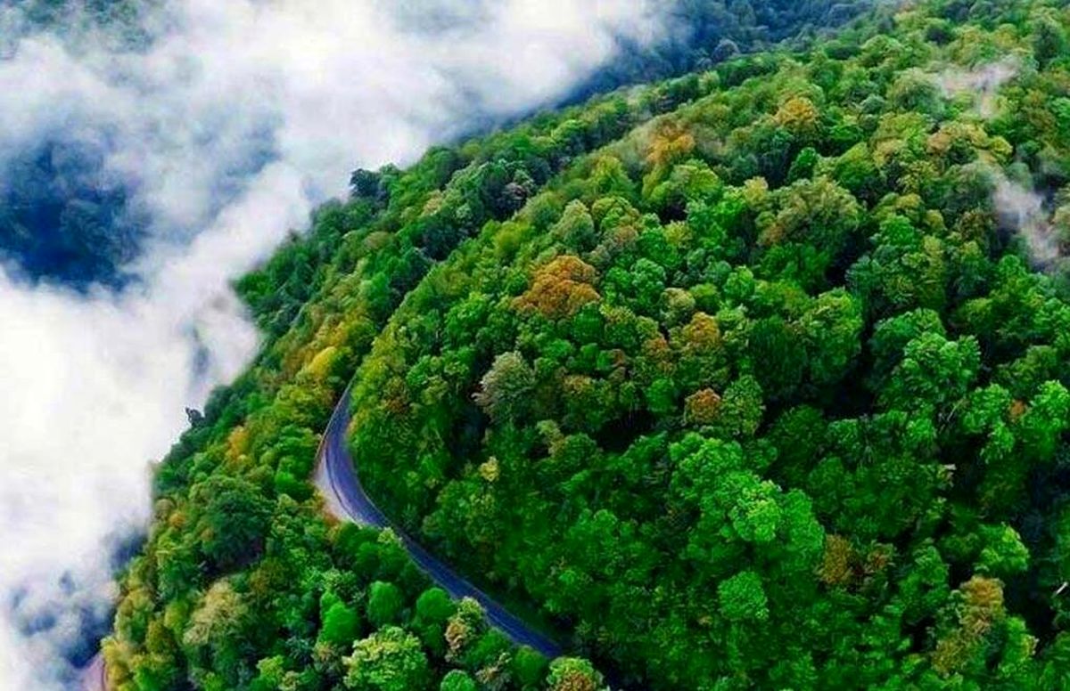 محال است این جاده در ایران باشد + عکس