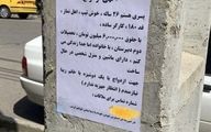 آگهی عجیب درخواست ازدواج پسر جوان با یک دوشیزه یا خانم زیبا در خیابان‌های تهران!