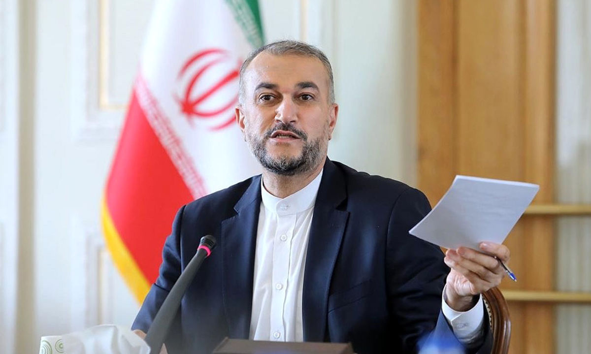 امیر عبداللهیان: دولت، ایرانیان خارج از کشور را فرصت تلقی می کند